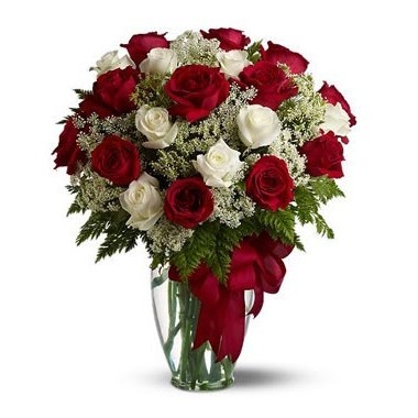 24 red and white roses