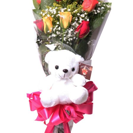 Presentation bouquet 12 rosas colores con teddy bear