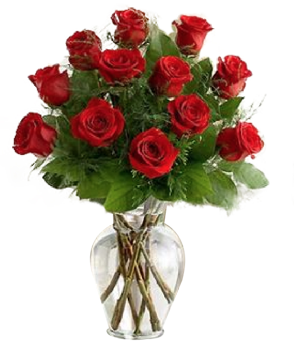 Red roses with greenery