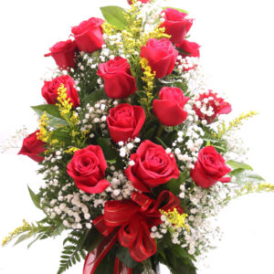 12 rosas rojas triangular