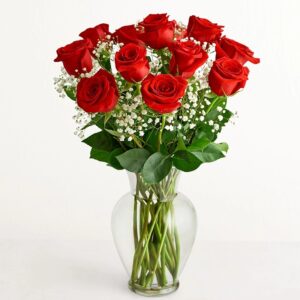 Beautiful 12 Red Roses