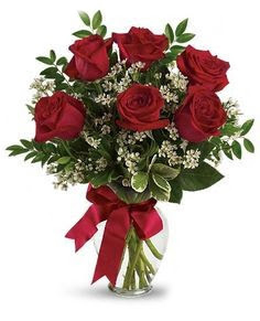 Media docena de rosas roja